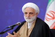 انتقاد اژه ای از رواج واژگانی نظیر «تندرو» و «کُندرو» در ادبیات سیاسی