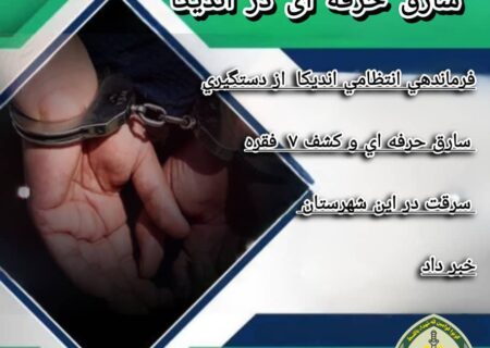 دستبند پلیس بر دست‌های سارق حرفه ای در اندیکا