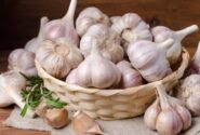 خوردن سیر خام ناشتا باعث لاغری می‌شود؟