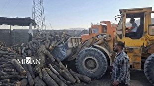 دادستان کازرون: ۲۵ تن هیزم و ۱۱ تن زغال از قاچاقچیان چوب کشف شد