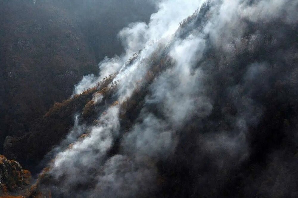 رئیس کل دادگستری مازندران: قصور مسئولان در مهار آتش «الیت» پیگرد قضایی دارد