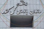 سازمان بازرسی کل کشور: مشکل بیمه تکمیلی بازنشستگان تامین اجتماعی حل شد