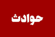 فیلم برداری از صحنه سرقت، راز «دزدان خونسرد» را فاش کرد/ راننده پراید، شریک دزدها بود