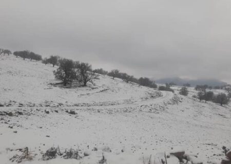 چهار سال در چادر زیر باران و برف؛ وعده‌های مسئولان به روستای زلزله‌زده سرشط اندیکا کی عملی می‌شود؟