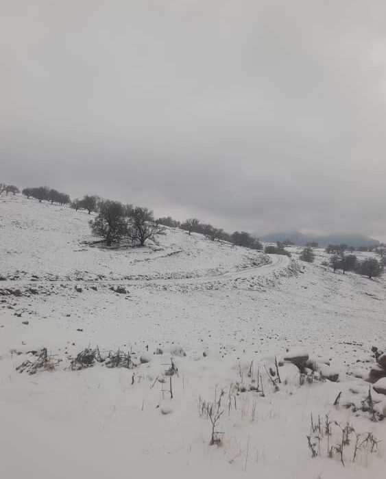 چهار سال در چادر زیر باران و برف؛ وعدههای مسئولان به روستای زلزلهزده سرشط اندیکا کی عملی میشود؟