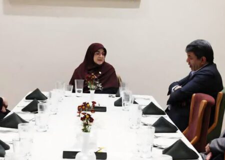 سخنگوی دولت با استقبال استاندار وارد کرمان شد