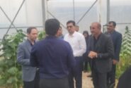 دستور ویژه فرماندار لالی برای رونق اشتغال روستایی/ اشکان مرادی: بانک‌ها همکاری کنند