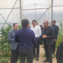 دستور ویژه فرماندار لالی برای رونق اشتغال روستایی/ اشکان مرادی: بانک‌ها همکاری کنند
