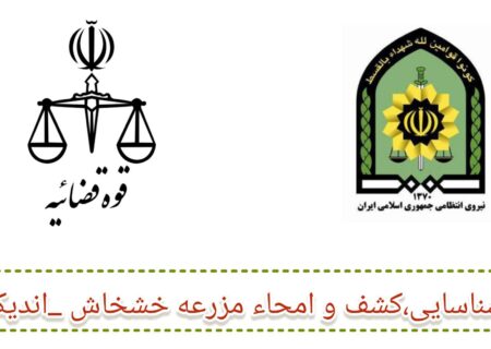 سجاد میر چناری دادستان عمومی و انقلاب شهرستان اندیکا خبر داد: شبیخون پلیس به مزارع خشخاش در ارتفاعات اندیکا/ ۱۱۲ هزار بوته خشخاش پیش از برداشت نابود شد