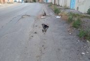 پنج ماه انتظار برای نجات جاده کلگه مسجدسلیمان؛ خطر در کمین عابران و رانندگان