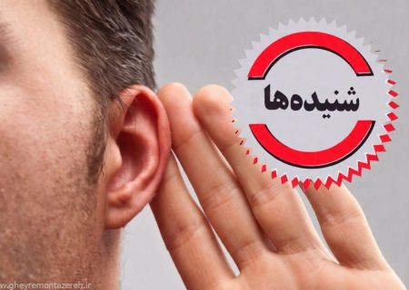 شنیده هایی از استعفای جنجالی علیرضا احمدپور ؛ پایان کوتاه همکاری با نماینده مجلس؟